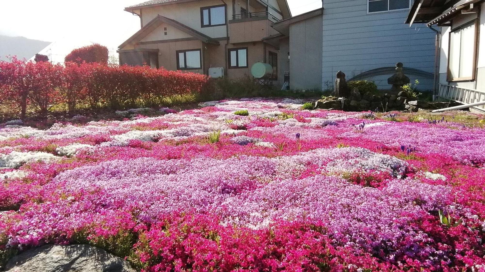 Guest House Honami-Kaido Jamanoucsi Kültér fotó